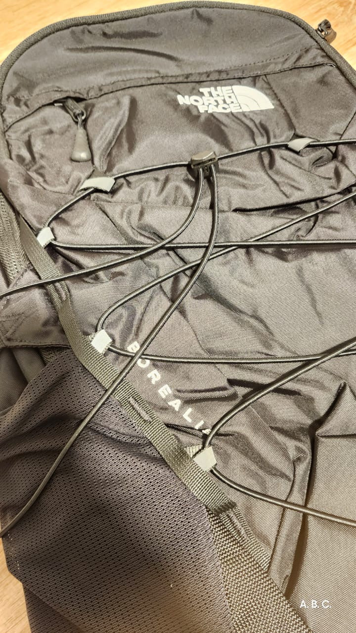 Mochila The North face Borealis tnf negra unisex