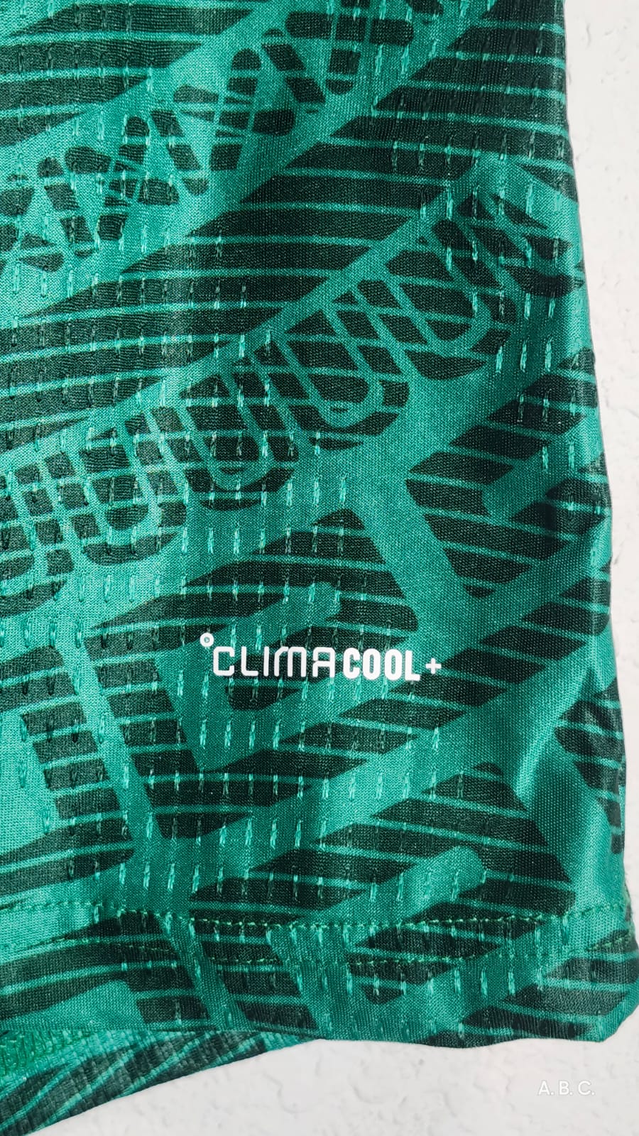 Playera jersey futbol Selección Mexicana 2026 Authentic Versión Jugador
