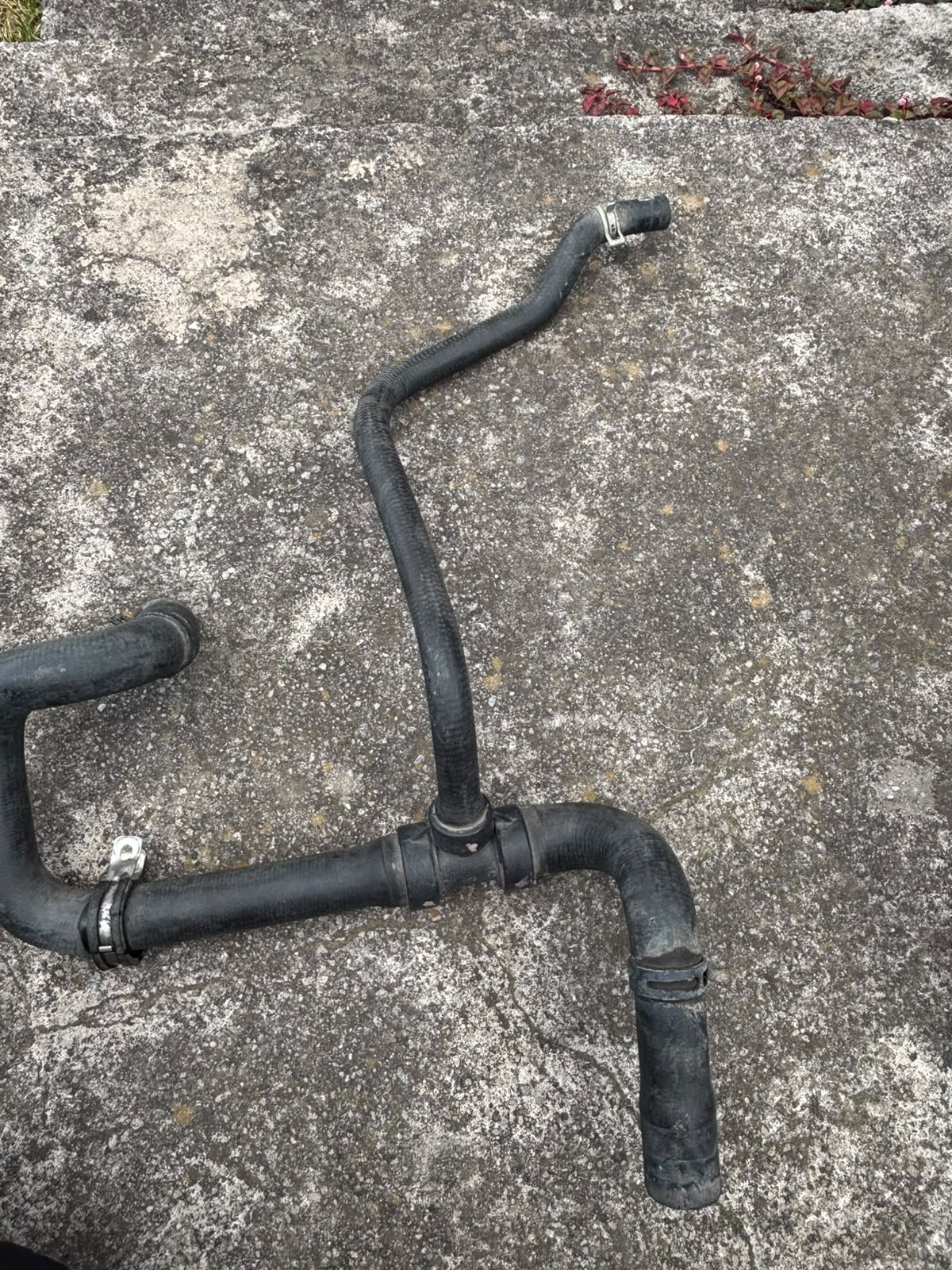 8200635618 Manguera pulpo Renault Logan 1.6 2015-2019